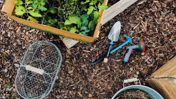 60+ Gemüsegarten Unter Bäumen, Schattige plätze unter bäumen sind
